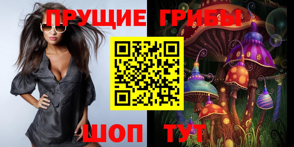 Егорьевск  Псилоцибиновые грибы Psilocybine cubensis  Вход с VPN 